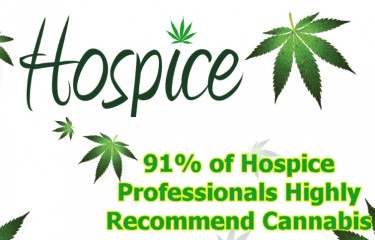 marijuana in hospice