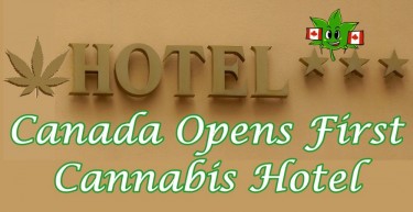 CANNABIS-FRIENDLY HOTELS