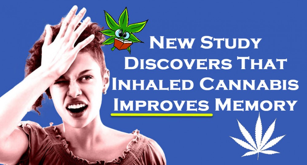 MEMORY AND MARIJUANA STUDIES