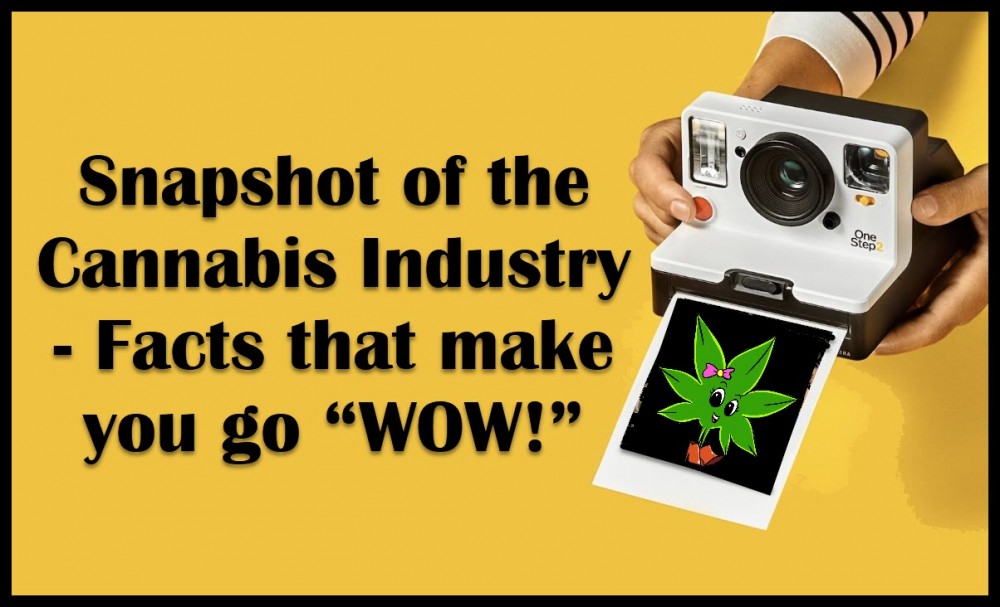 cannabis industry facts