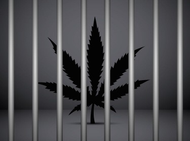 CANCEL EX CONS IN MARIJUANA 