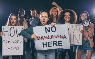cannabis instead of marijuana