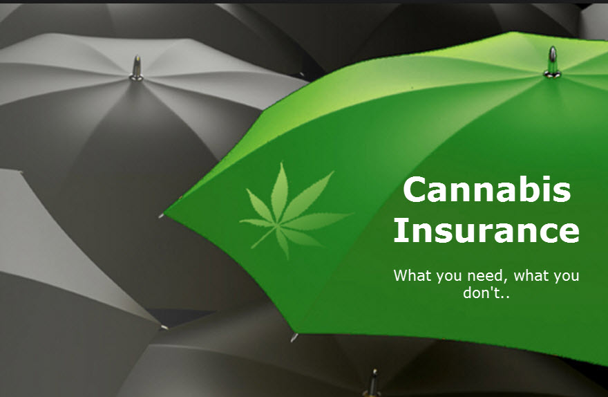 DISPENSARY INSURANCE