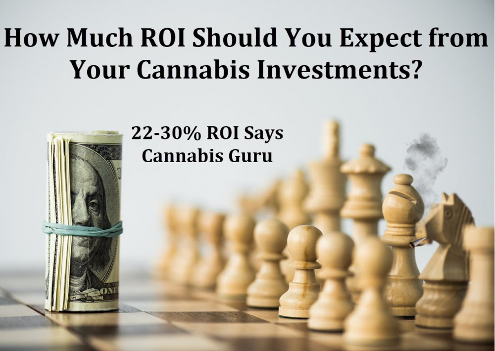 HOW MUCH IS THE RETURN FOR CANNABIS INVESTMENTS