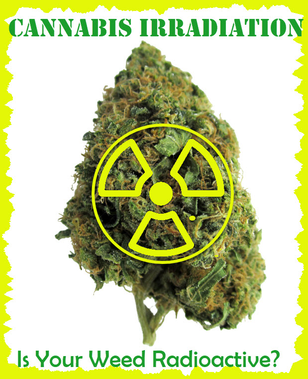 cannabis irradiation