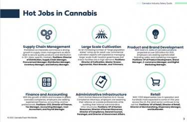 Cannabis job graphic