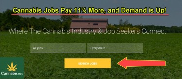 cannabis job pay levels
