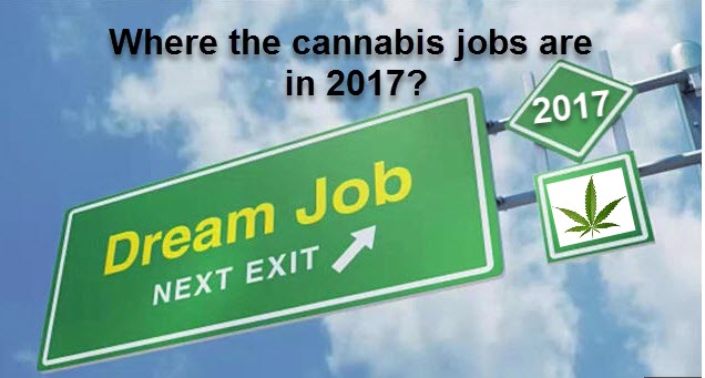 CANNABIS JOBS IN 2018