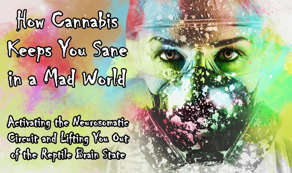 cannabis keeps you sane