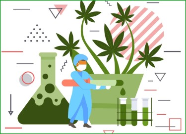 cannabis lab testing problems
