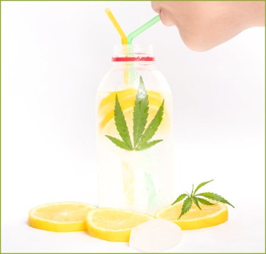 lemonage cannabis drinks