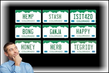 COLOR LICENSE PLATES MARIJUANA THEMED