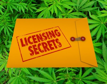 cannabis licensing tips and prep work