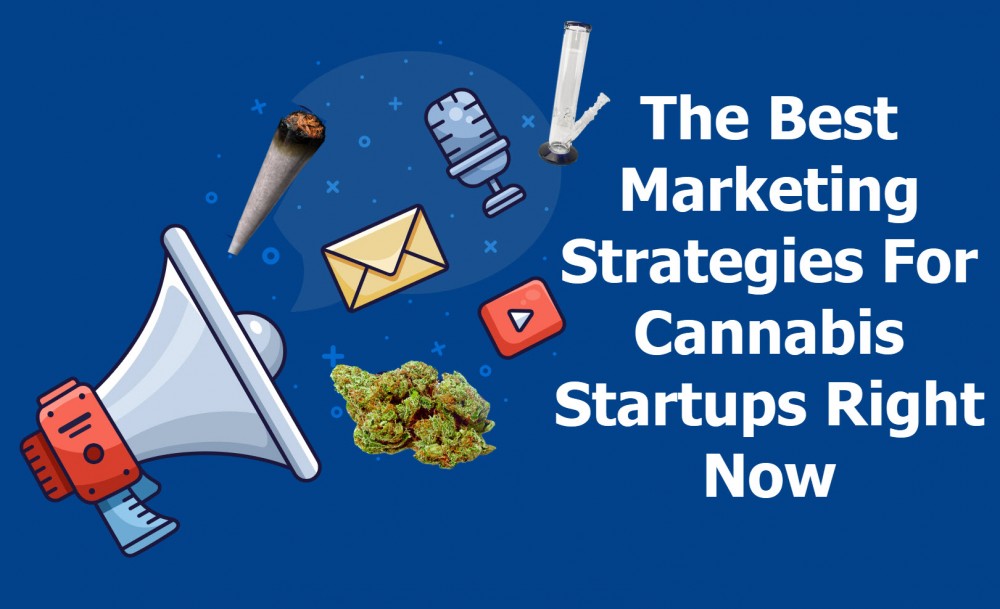 cannabis marketing strategies for startups