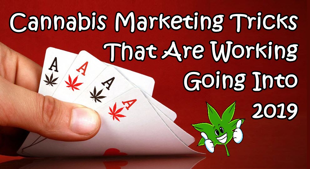CANNABIS MARKETING TIPS FOR 2019