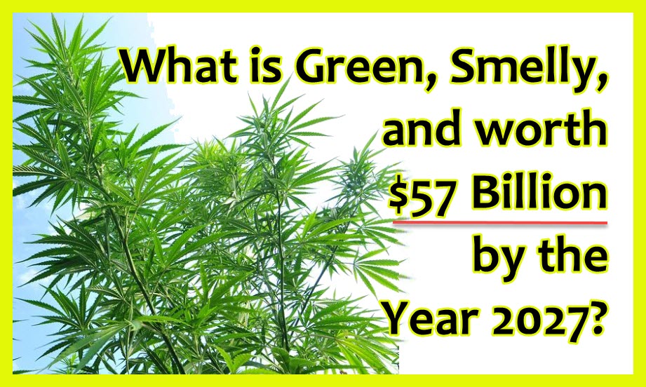 MARIJUANA MARKET SIZE