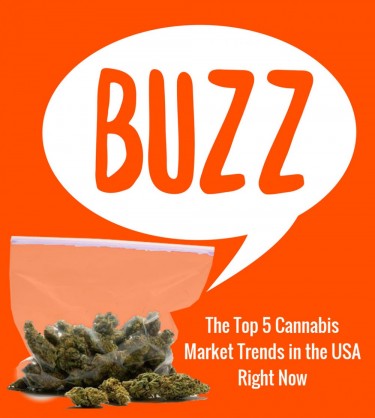 CANNABIS TRENDS IN THE MARKET TODAY