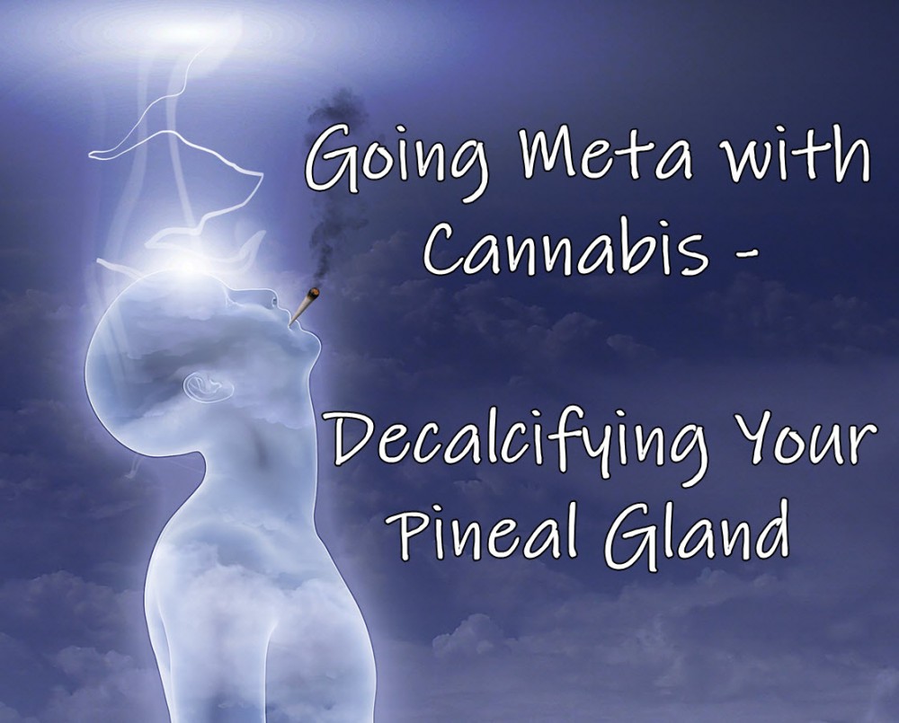 cannabis pineal gland binaural beats 