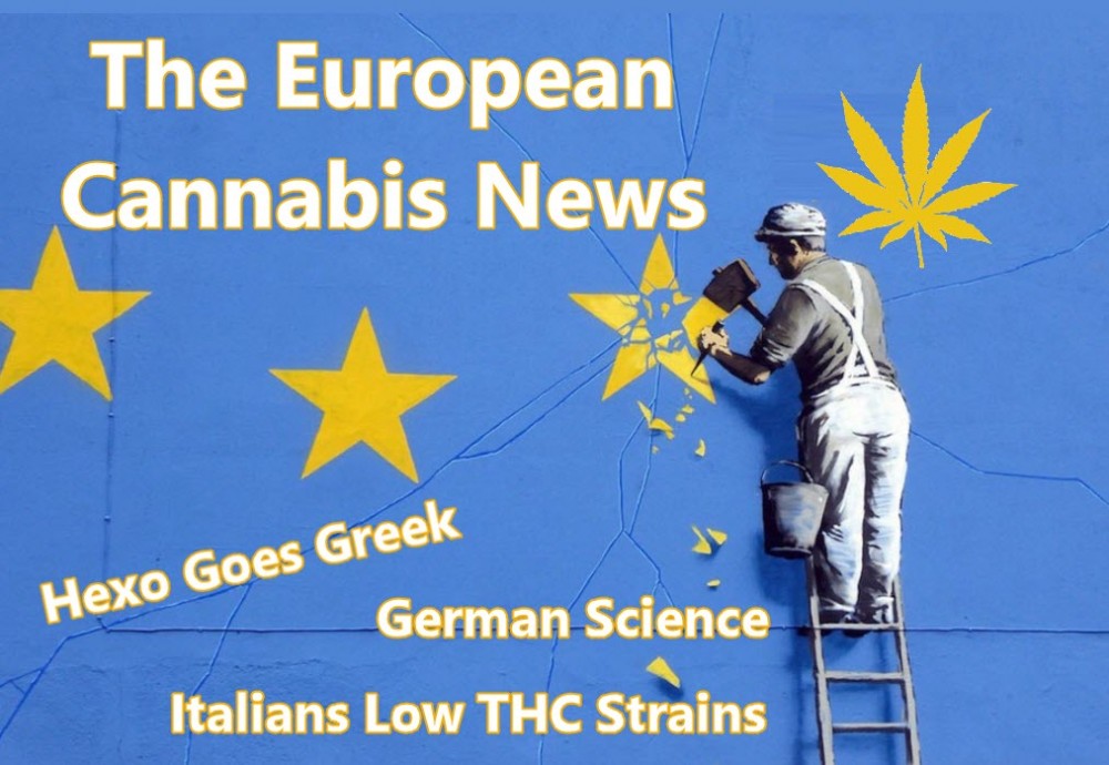 EUROPEAN NEWS ABOUT MARIJUANA AND CANNABIS