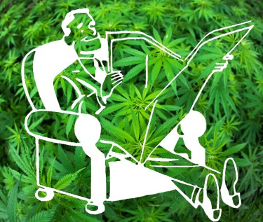 cannabis news source