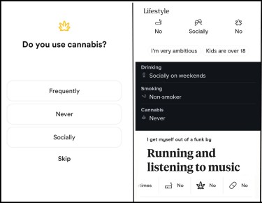 dating apps listing cannabis as a question