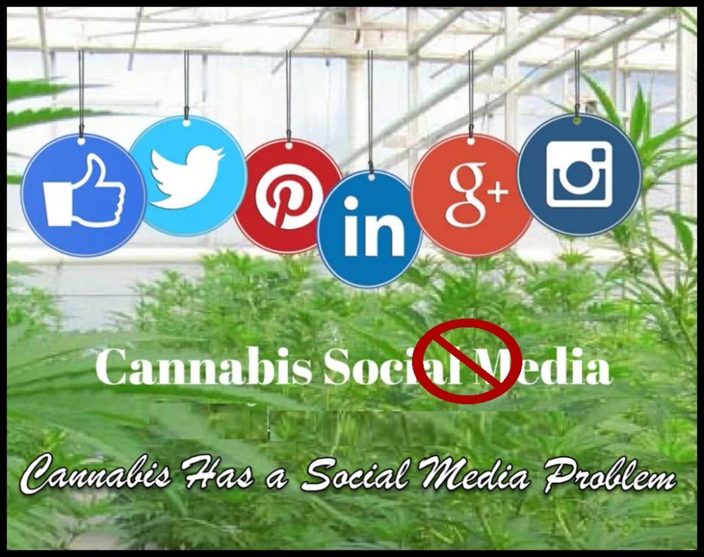 CANNABIS SOCIAL MEDIA PROBLEMS