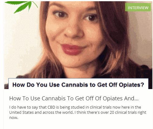 USING CANNABIS TO GET OFF OPIOIDS