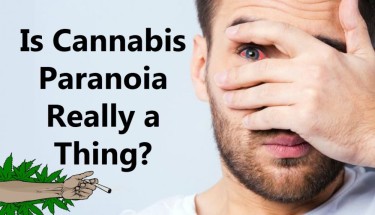DO YOU GET PARANOID WHEN YOU SMOKE WEED