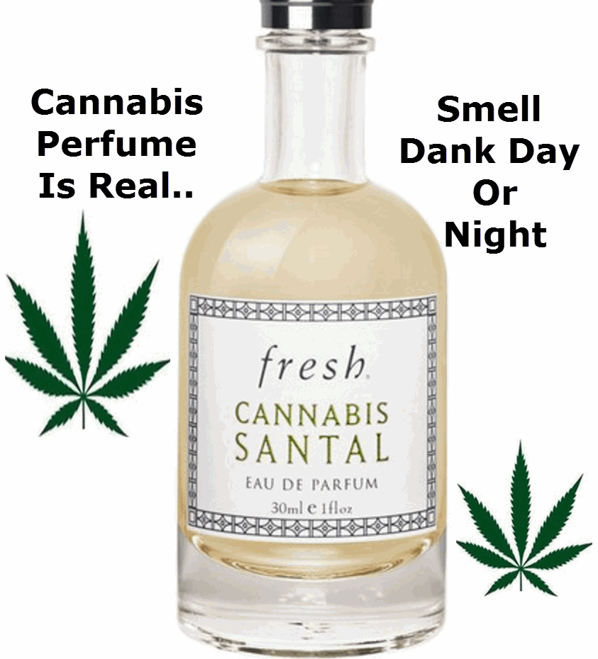 marijuana perfume