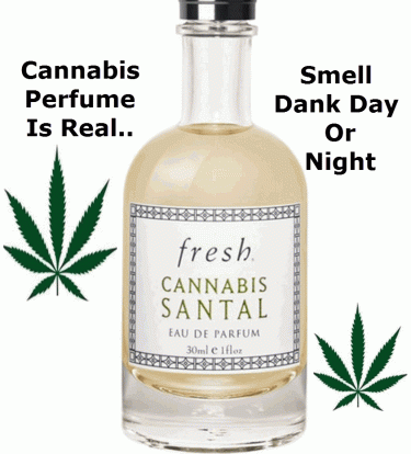 CANNABIS SCENTED PERFUME