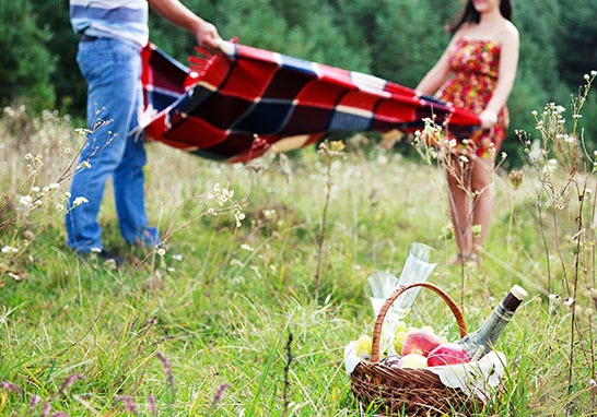 cannabis picnic