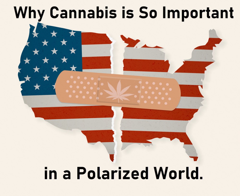 CANNABIS TO HELP IN A POLARIZED COUNTRY