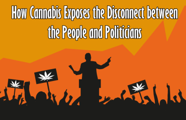 THE DISCONNECT BETWEEN POLITICIANS AND THE PEOPLE OVER CANNABIS