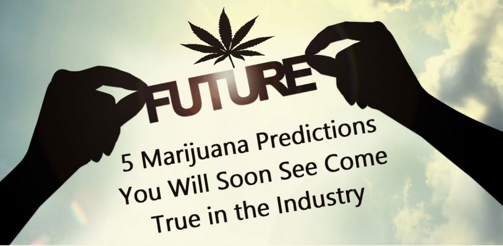 MARIJUANA PREDICTIONS FOR THE FUTURE