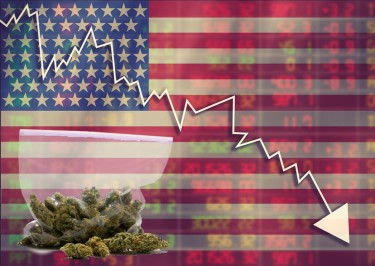 cannabis price drops