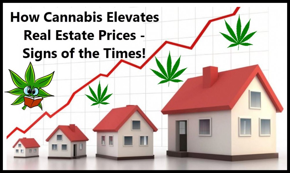 CANNABIS REAL ESTATE PRICES