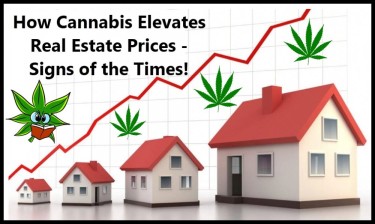 LEGAL MARIJUANA RISES HOME VALUES