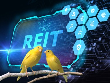 cannabis REIT short selling