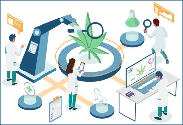 cannabis testing 900000