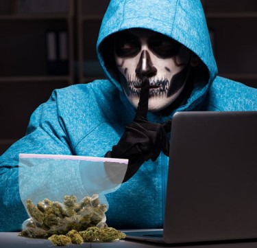 cannabis scams online