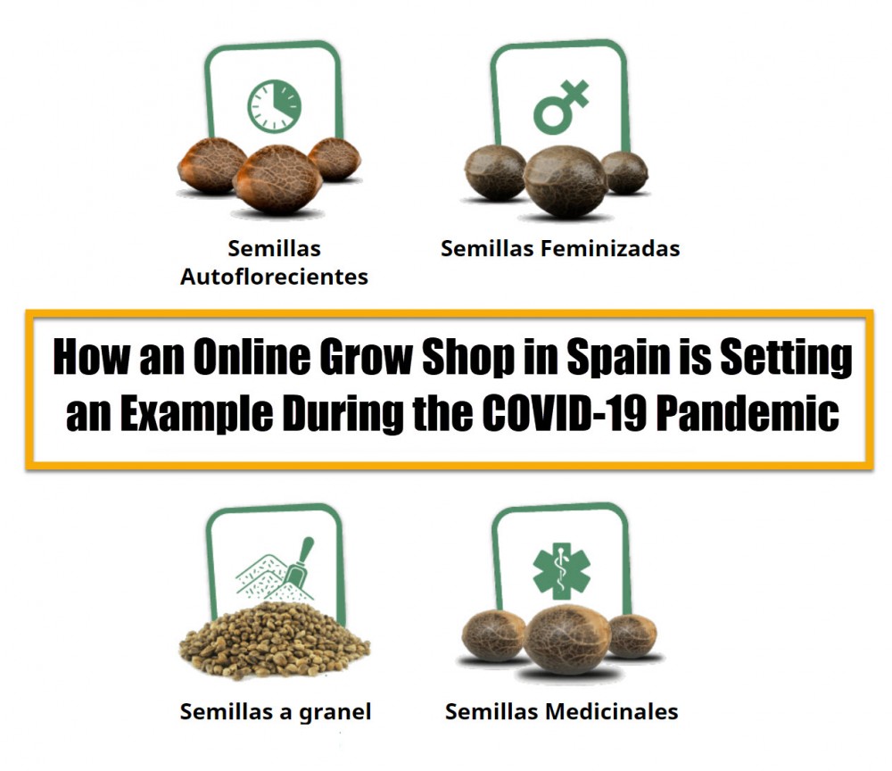 cannabis seed stores in Spain