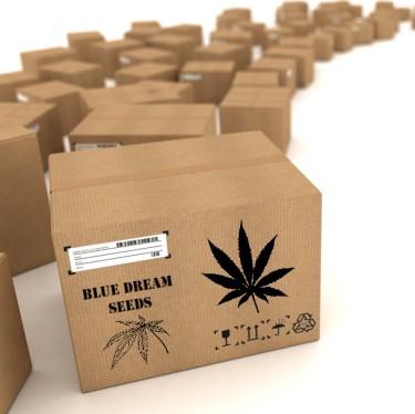 shipping cannabis seeds now legal DEA