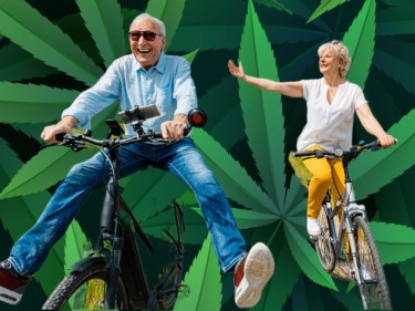 cannabis and seniors that buy it