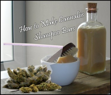 CANNABIS SHAMPOO BARS AT HOME