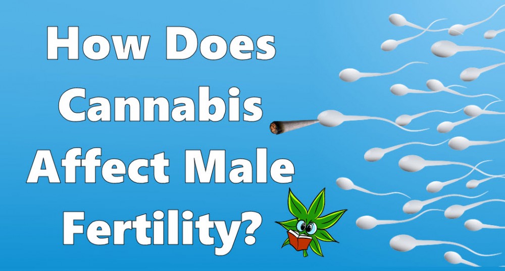 sperm Cannabis and