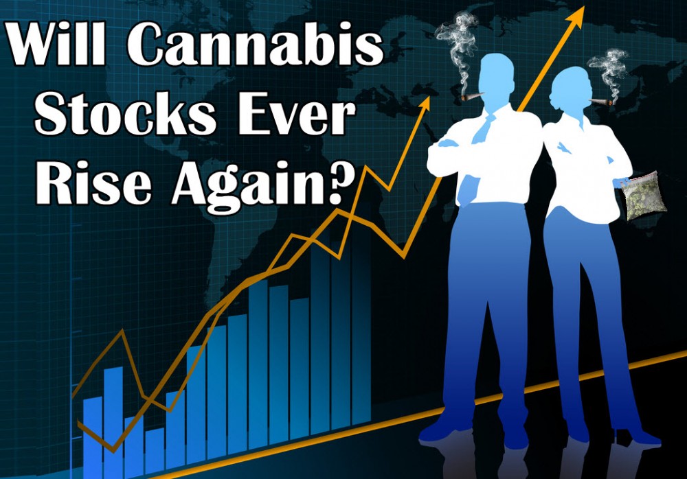 CANNABIS STOCK RISE AGAIN