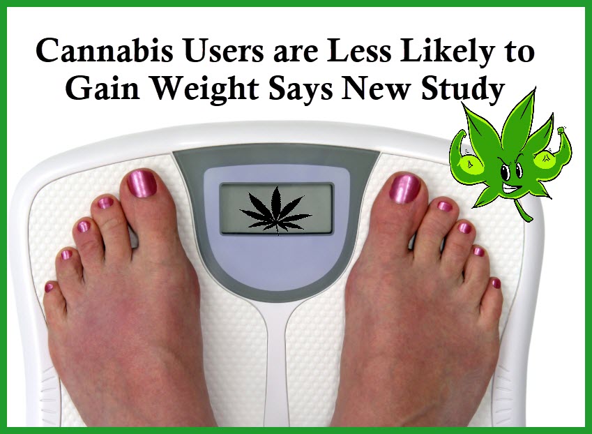 CANNABIS SLOWS WEIGHT GAIN