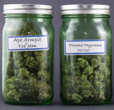 cannabis strain name battles