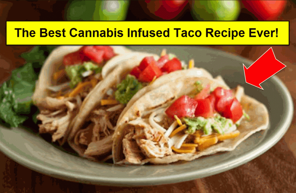 CANNABIS INFUSED TACOS