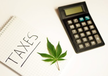 CUTTING TAXES ON CANNABIS